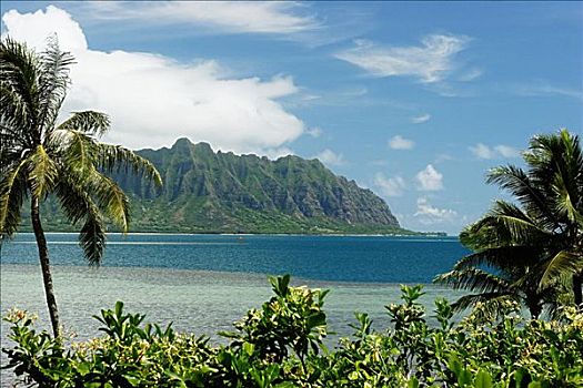 夏威夷,瓦胡岛,卡内奥赫湾,茂密,山峦,平静,蓝色,海洋