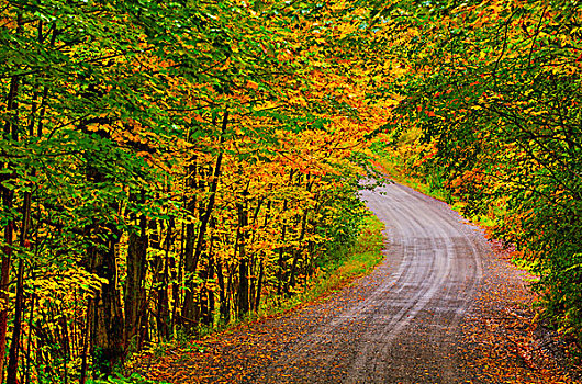 土路,秋天,铁,山,魁北克,加拿大