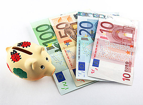 卷,欧元,钞票,白色背景,背景