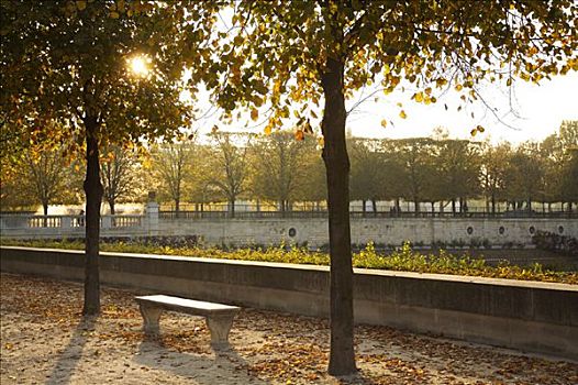 公园,日落,巴黎,法国