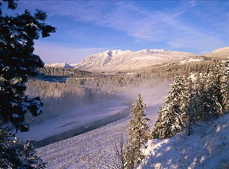 冬天,景色,靠近,金伯利,不列颠哥伦比亚省,加拿大