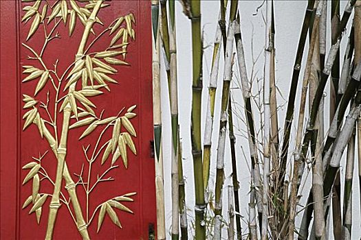 竹子,设计,门,靠近,植物