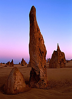 顶峰,石灰石,黃昏,南邦国家公园,西澳大利亚州,澳大利亚
