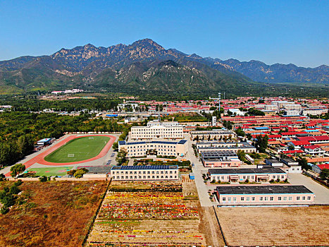 学校