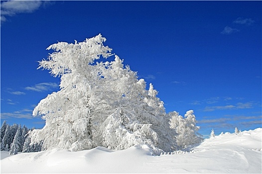 冬天,山