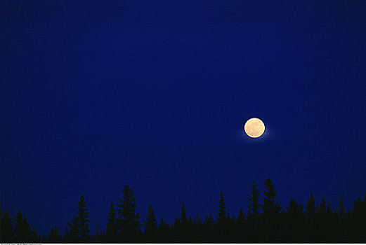 满月,上方,印第安,自然保护区,艾伯塔省,加拿大