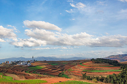 东川红土地