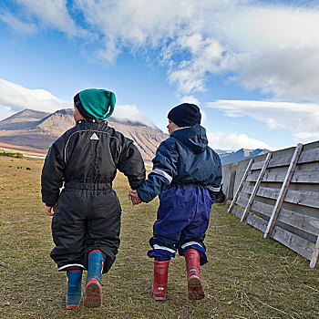 孩子,握手,乡村,马,采集,冰岛,圆