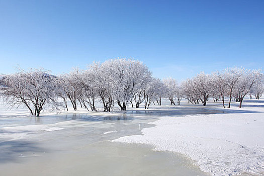 坝上雪景