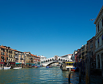 大运河,船,小船,里亚尔托桥,威尼斯,威尼托,意大利,欧洲