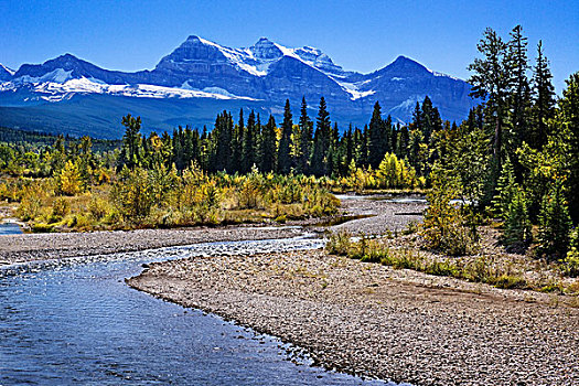 溪流,流动,风景,山脉,背景,瓦特顿湖国家公园,艾伯塔省,加拿大