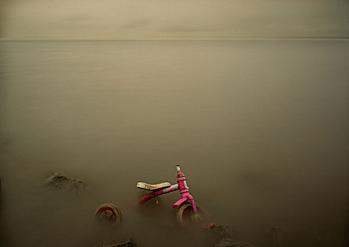 粉色,三轮车,海洋