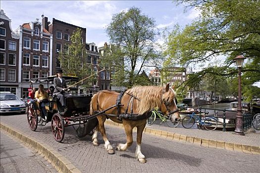 旅游,马车,阿姆斯特丹,荷兰,欧洲