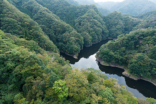 山谷,日本