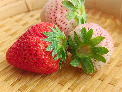 白草莓,草莓上市
