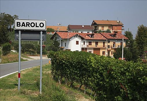 地名,标识,巴罗洛葡萄酒,意大利,欧洲