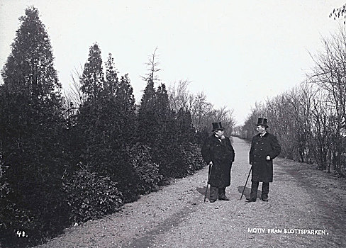 两个男人,走,城堡,公园,瑞典,19世纪,艺术家