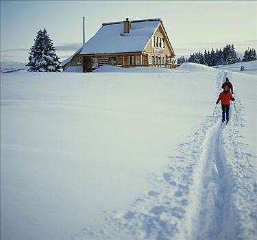 伴侣,越野滑雪