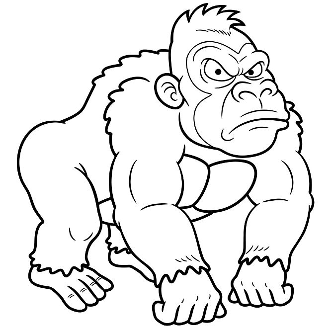 大猩猩图片_大猩猩高清图片_全景视觉