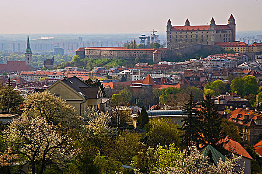 看,布拉迪斯拉瓦,城堡,斯洛伐克