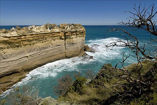 海洋,道路,石灰石,悬崖,南大洋,维多利亚,澳大利亚