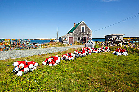 捕虾器,格兰德港,大马南岛,芬地湾,新布兰斯维克,加拿大