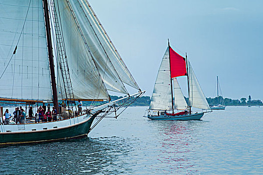 马萨诸塞,纵帆船,节日,港口