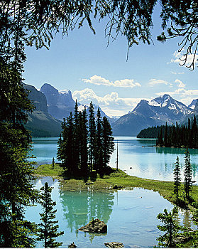 岛屿,玛琳湖,艾伯塔省,加拿大