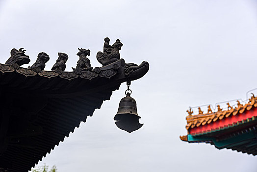 天津市滨海新区潮音寺风光