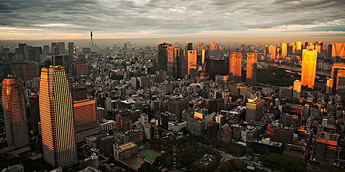 东京,天际线,黄昏,日本