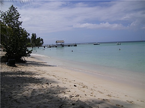 多巴哥岛,水