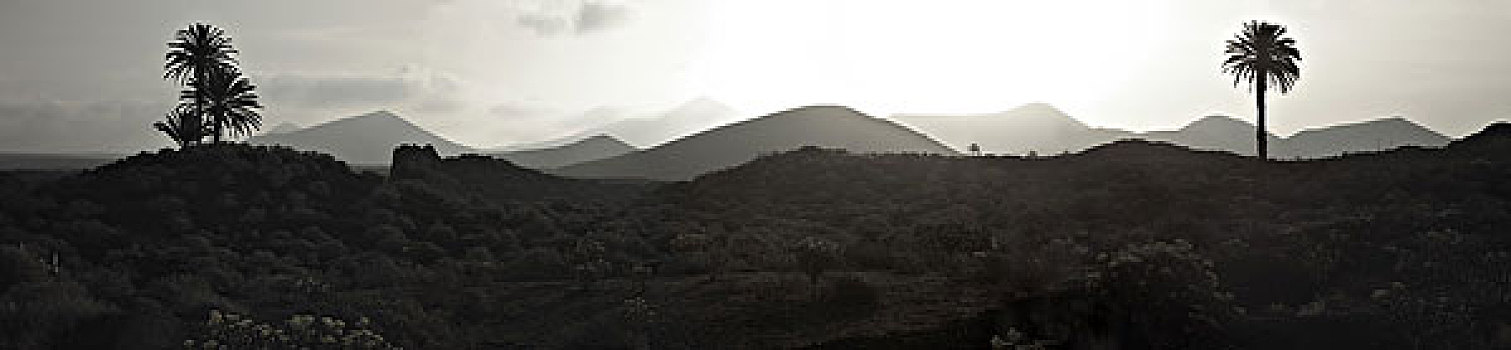 西班牙,加纳利群岛,岛屿,兰索罗特岛,火山,风景,山,棕榈树,全景,单色调,高地,贫乏,树,火山岩,石头,阴郁,阴暗,日出,早晨