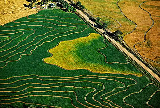 农业,航拍,绿色,成熟,稻田,靠近,阿肯色州,美国