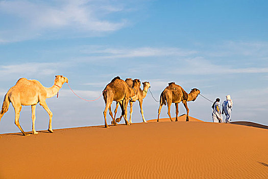 摩洛哥,撒哈拉,沙丘,40岁,宽
