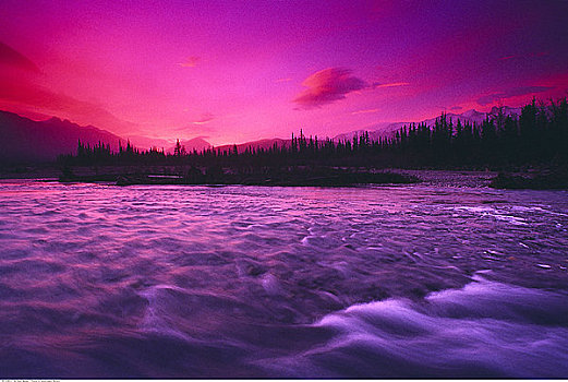 岩石,河,黎明,碧玉国家公园,艾伯塔省,加拿大