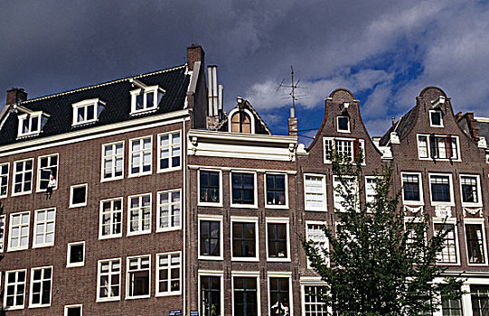 仰视,独栋别墅,排列,阿姆斯特丹,荷兰