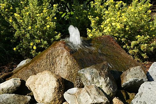 石头,喷泉,园池