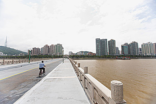 男人,骑自行车,桥,山东,省,中国