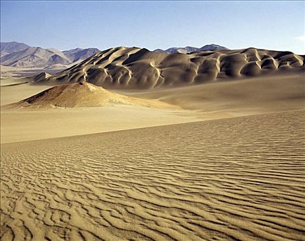 沿岸,沙漠,沙丘,波纹,靠近,秘鲁,南美
