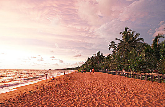 沙滩,晚上,亮光,南方,省,印度洋,斯里兰卡,亚洲