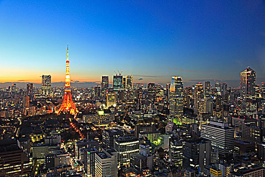 夜景,东京塔,世贸中心,建筑