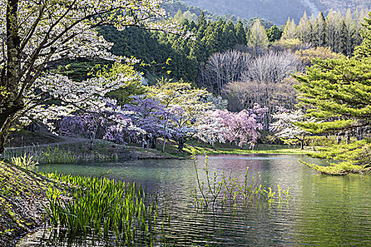 自然公园,福岛,日本