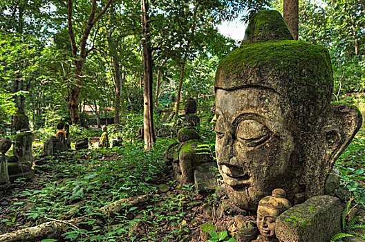 头部,雕塑,寺院,著名,树林,庙宇,清迈,泰国