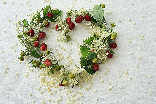 心形,花环,野草莓,接骨木花