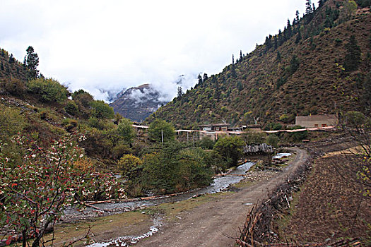 山路