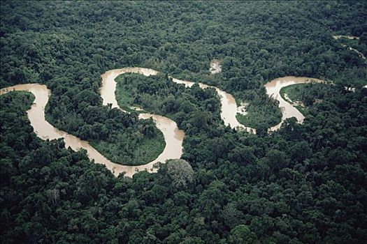 航拍,弯曲,河,亚马逊河,树林,生态系统,巴西