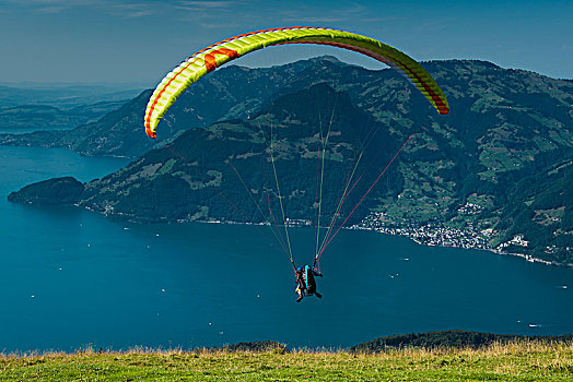 滑翔伞,靠近,琉森湖,瑞士,欧洲