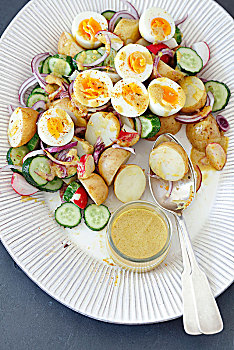 土豆沙拉,黄瓜,红色,萝卜,煮鸡蛋,芥末,调味品