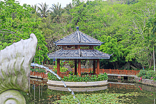 海南三亚热带天堂森林公园的兰花谷景点