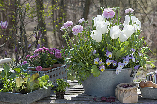 春季插花,平台,桌子,毛茛属植物